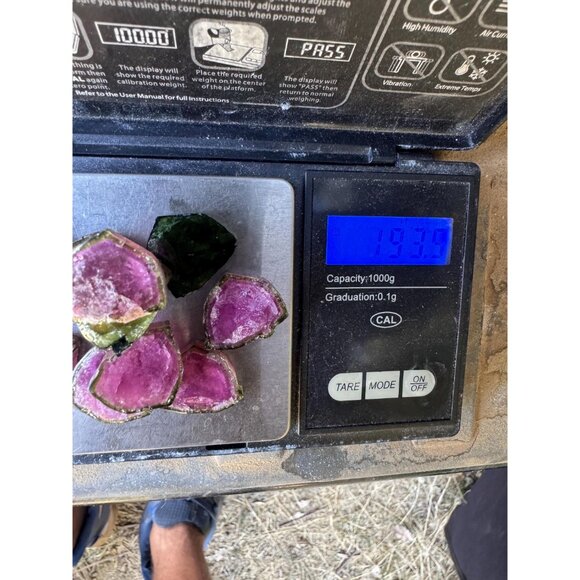 Watermelon Tourmaline Slices Cabochons Custom Cut Polished Both Sides 193 cts - Picture 7 of 10